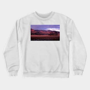 In The Winter Light Crewneck Sweatshirt